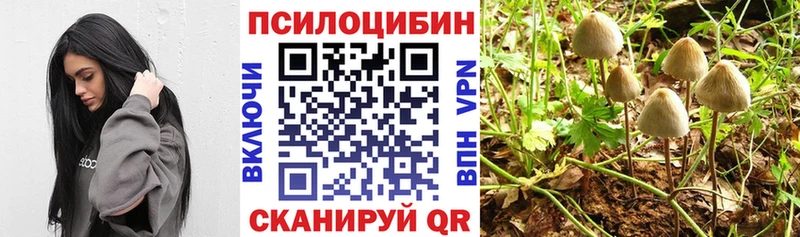 Псилоцибиновые грибы GOLDEN TEACHER Старая Купавна